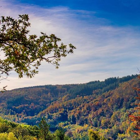 Le Chalet Vresse-sur-Semois ภายนอก รูปภาพ