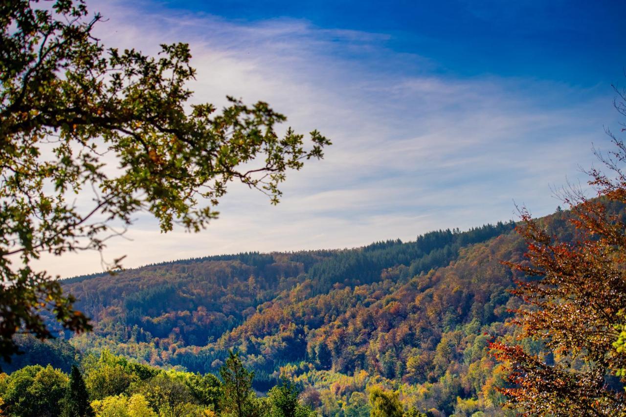 Le Chalet Vresse-sur-Semois ภายนอก รูปภาพ